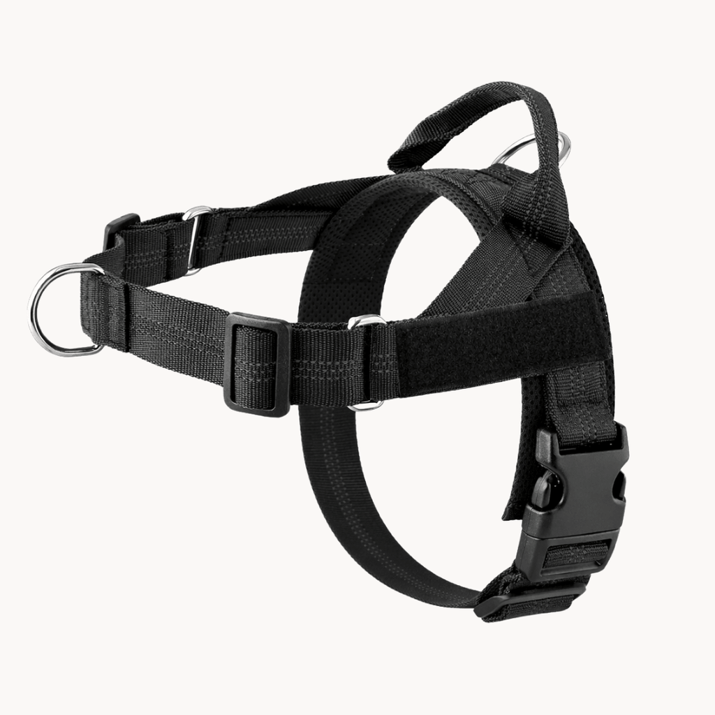 Pawvel No Pull Dog Harness