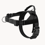 Pawvel No Pull Dog Harness