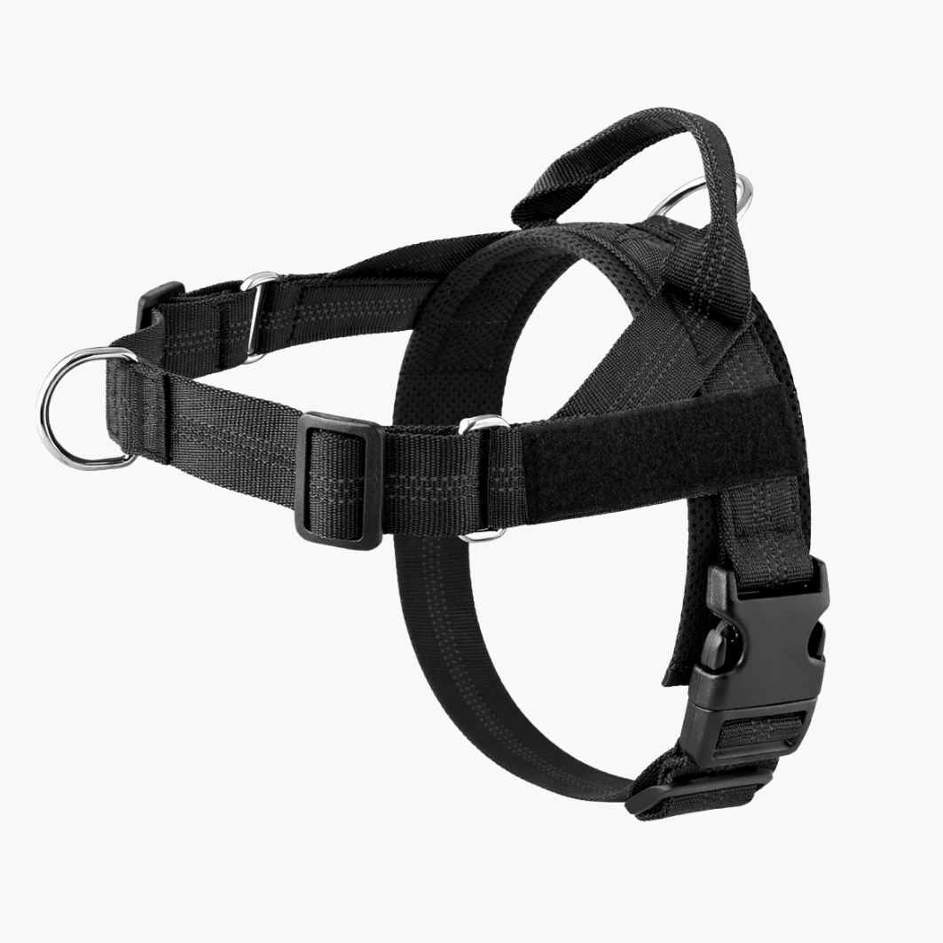 Pawvel No Pull Dog Harness