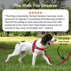 Pawvel No Pull Dog Harness