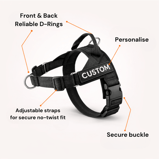 Pawvel No Pull Dog Harness