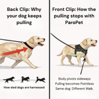 Pawvel No Pull Dog Harness