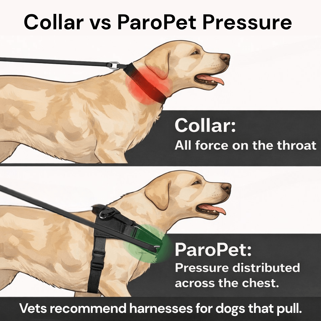 Pawvel No Pull Dog Harness