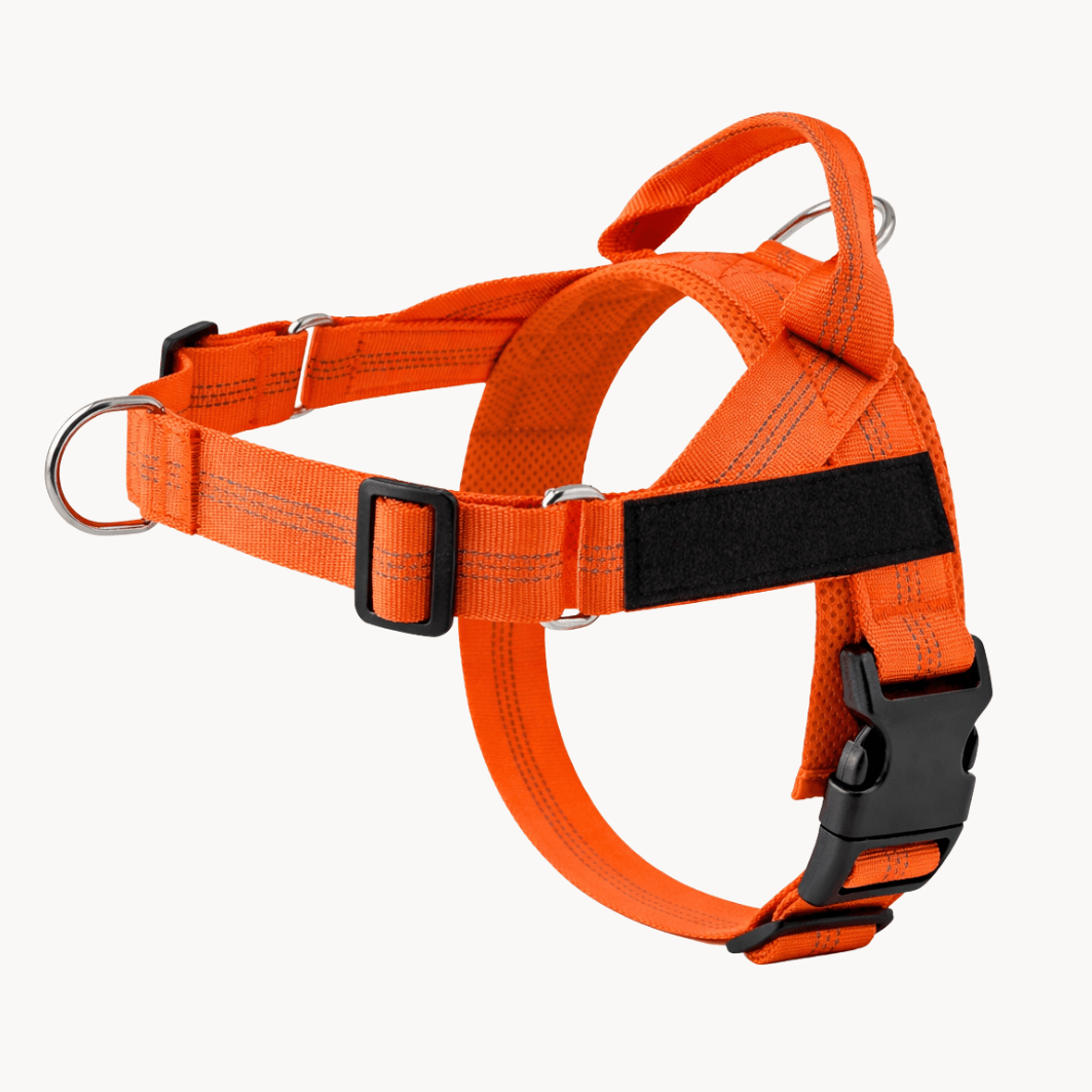 Pawvel No Pull Dog Harness