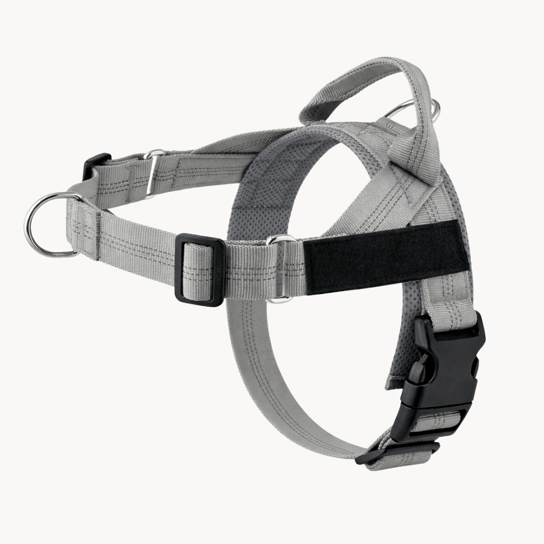 Pawvel No Pull Dog Harness