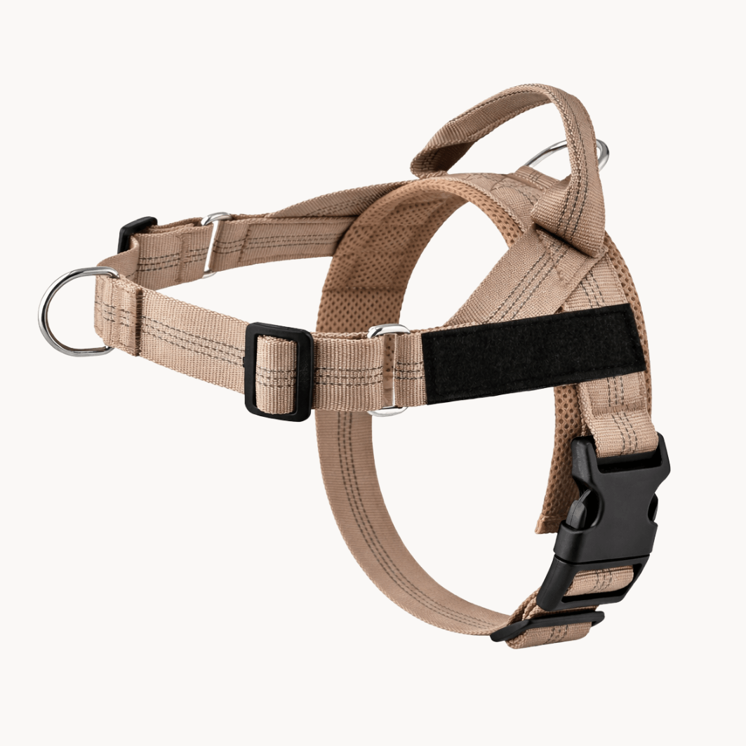 Pawvel No Pull Dog Harness