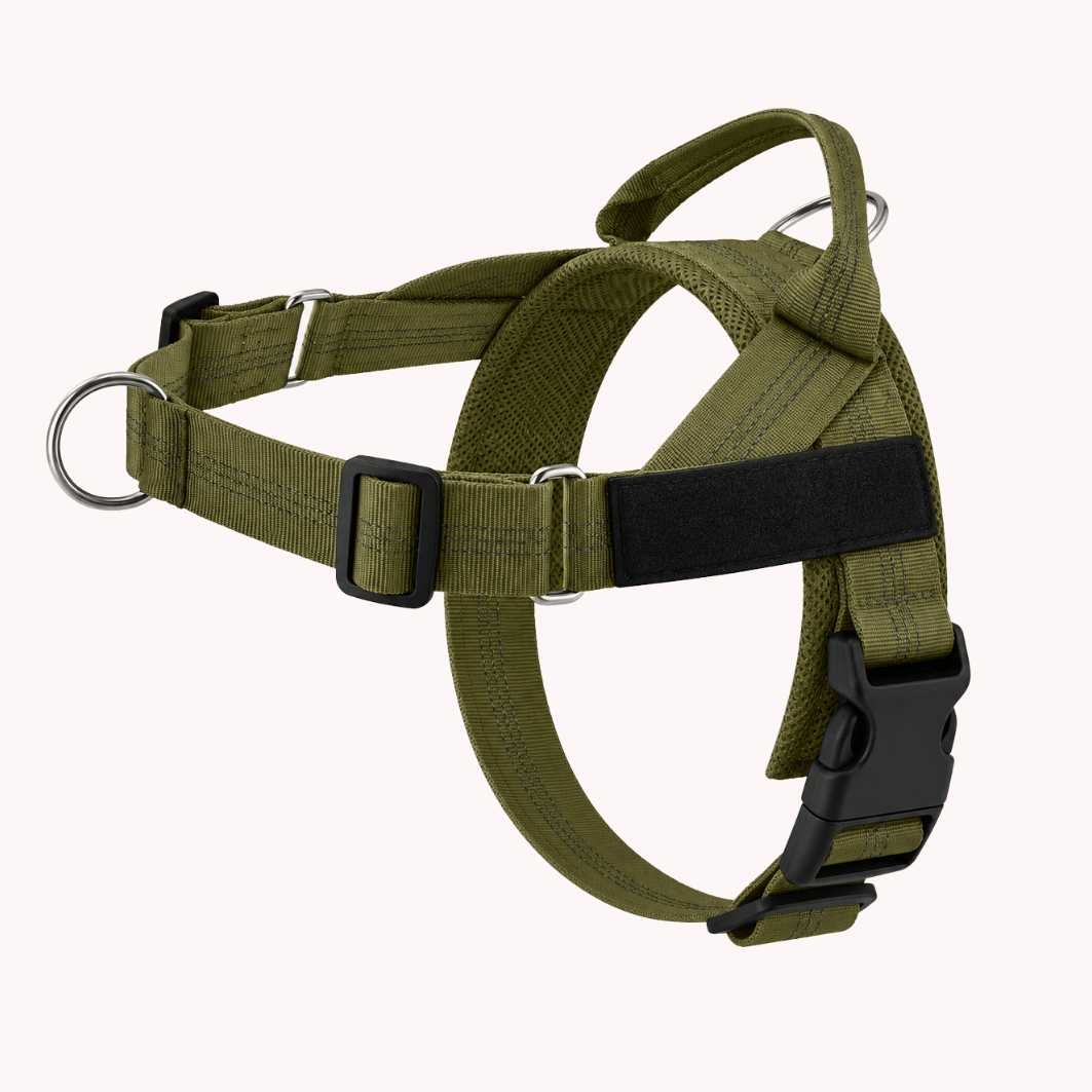 Pawvel No Pull Dog Harness