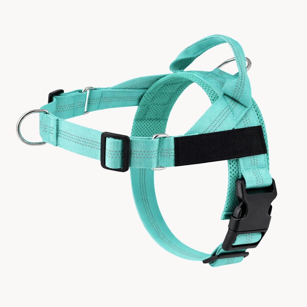 Pawvel No Pull Dog Harness