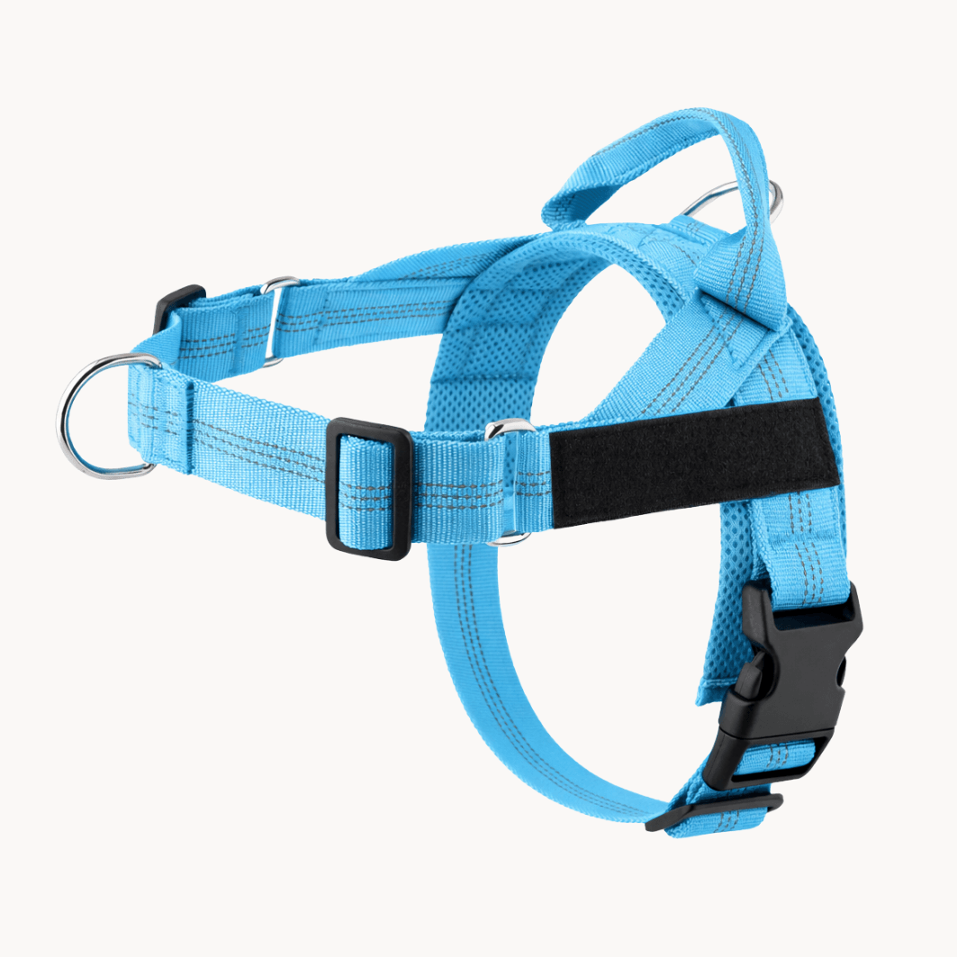 Pawvel No Pull Dog Harness