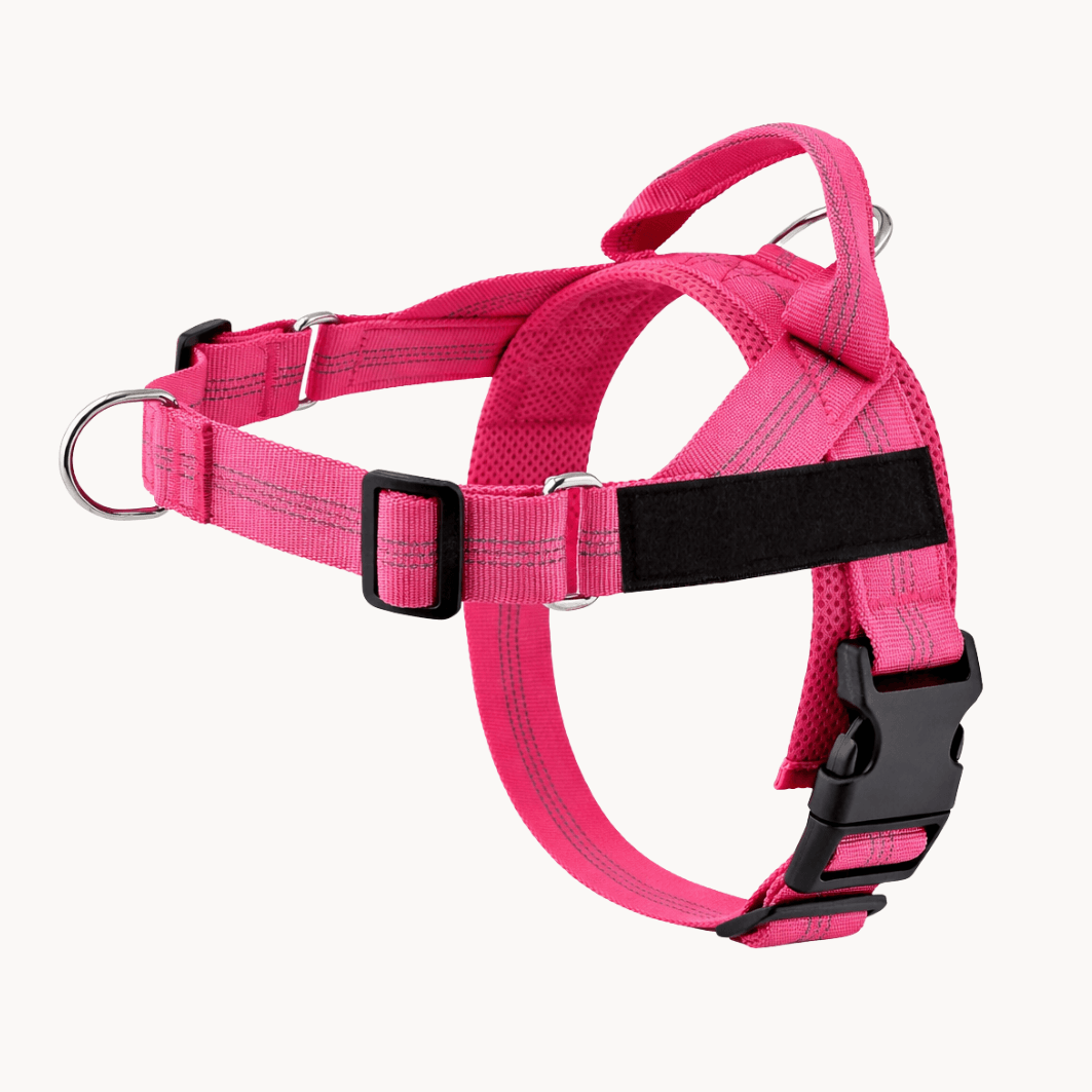 Pawvel No Pull Dog Harness