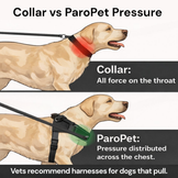 Pawvel No Pull Dog Harness
