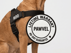 Pawvel No Pull Dog Harness